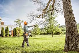 Best Tree Maintenance Programs  in Cortland West, NY